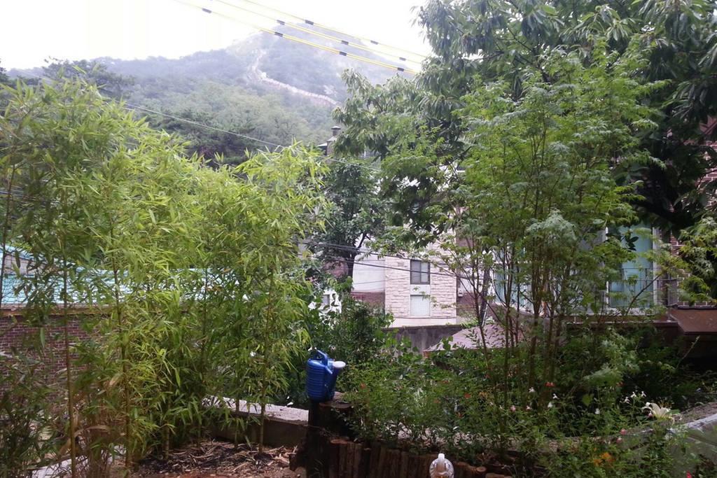 Guesthouse The Kims Seoul Rom bilde